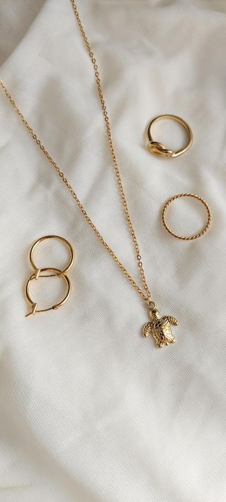 Collar tortuga acero