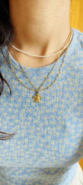 Collar tortuga acero