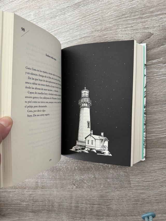 Los abrazos lentos, Elisabet Benavent