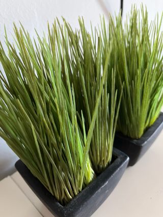 Dos pequeñas plantas artificiales.