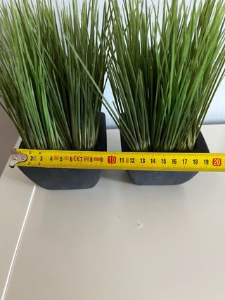 Dos pequeñas plantas artificiales.
