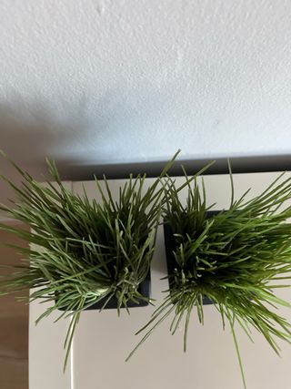 Dos pequeñas plantas artificiales.