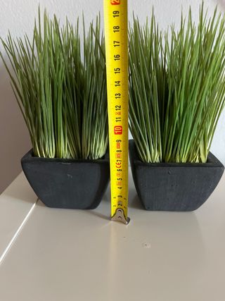 Dos pequeñas plantas artificiales.