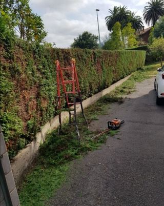 Jardinero economíco 