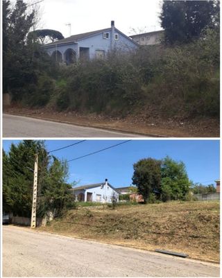Jardinero economíco 