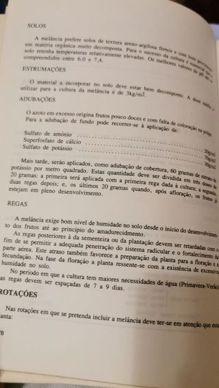 Cultivo de Plantas em Estufa