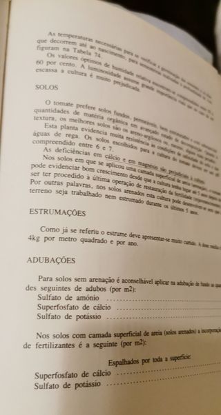 Cultivo de Plantas em Estufa