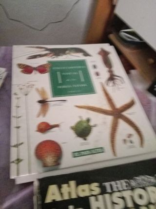 4 LIBROS de interés