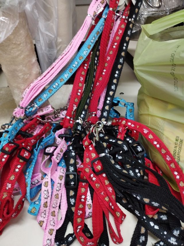 Pettorina completa per cani