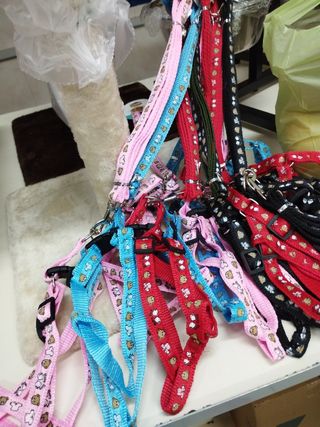 Pettorina completa per cani