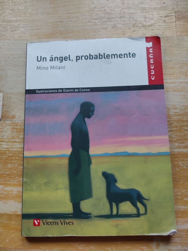 Un ángel, probablemente