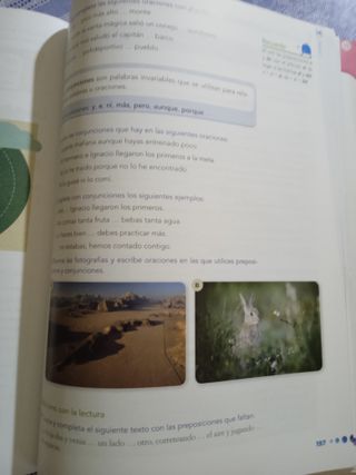 LENGUA 5 PRIMARIA (TERCER TRIMESTRE)