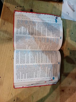 Diccionario Lengua Española y Latin