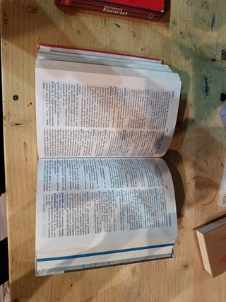 Diccionario Lengua Española y Latin