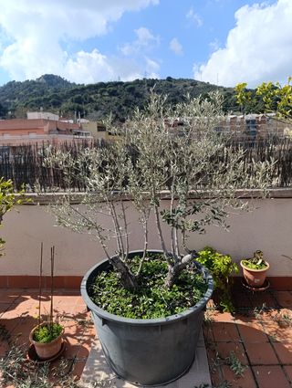 Jardinero