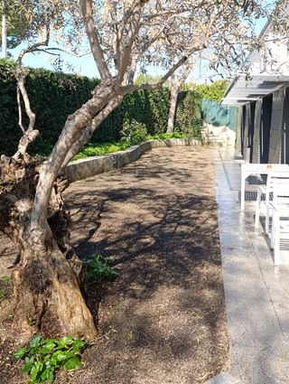 Jardinero