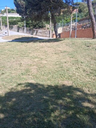 Jardinero
