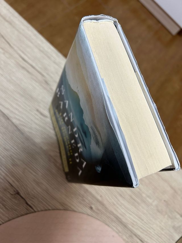 Libro “un océano para llegar a ti”