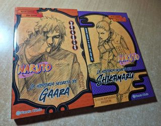 Novelas Naruto, Gaara/Shikamaru