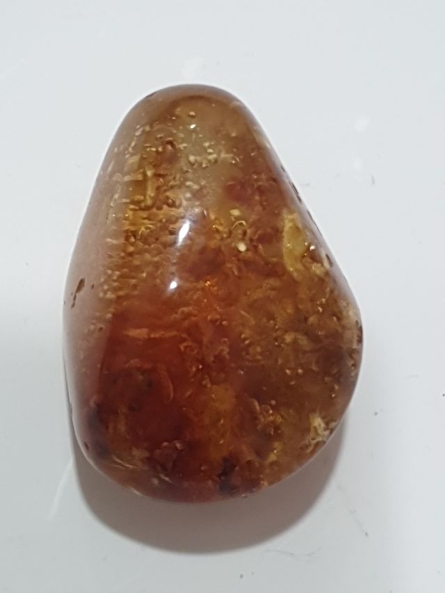 Pieza ámbar incrustaciones insectos