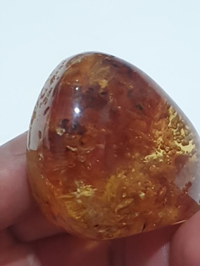 Pieza ámbar incrustaciones insectos