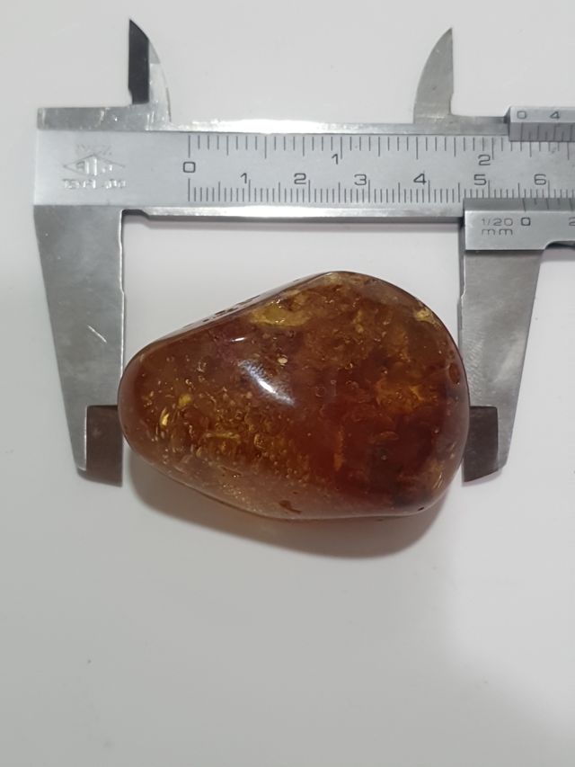 Pieza ámbar incrustaciones insectos