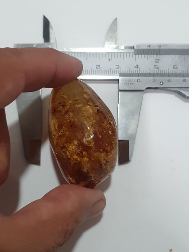 Pieza ámbar incrustaciones insectos