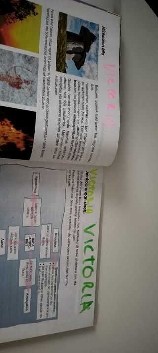 Religión católica 5 primaria, en euskera 5 DBH