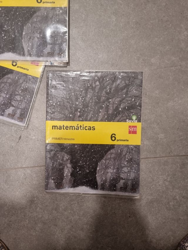 Libros matemáticas 6 primaria