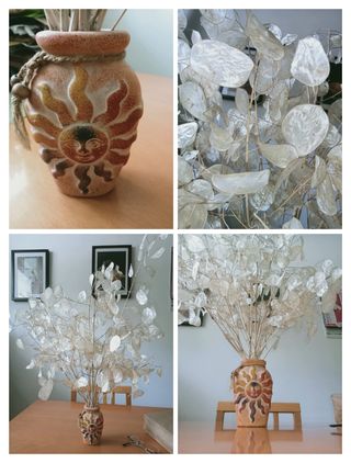 Mazzo di fiori secche Lunaria più vaso.