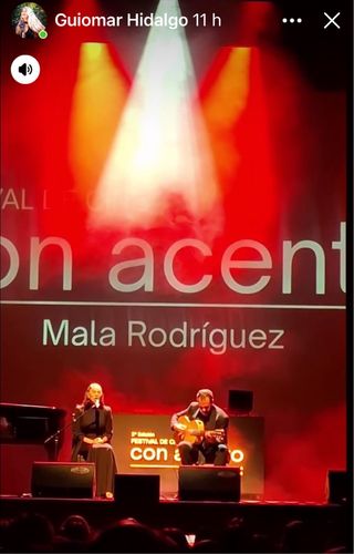 Guitarrra flamenca unica