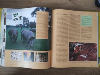 Un paseo gastronómico por España