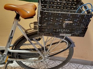 Bicicleta con cestas adulto