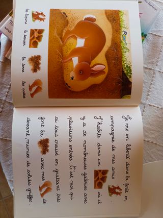 Libros infantiles francés français "Je lis avec"