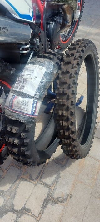 Beta xtrainer 300 2T