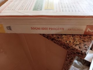 Sogni, idee, progetti - Antologia