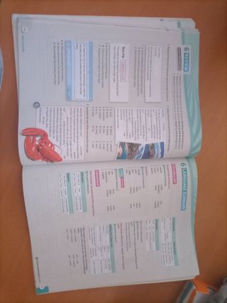 Libró de ingles SYNCHRONIZE 1 WORKBOOK