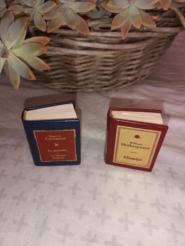 Libros grandes obras en miniatura