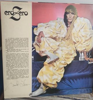 Disco in vinile ,33 giri