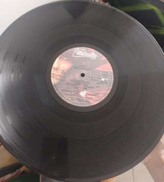 Disco in vinile ,33 giri