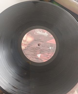 Disco in vinile ,33 giri