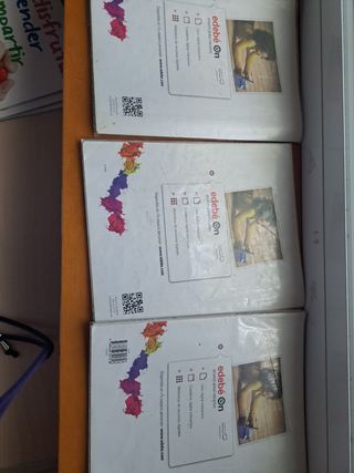3 libros de palabra y comunicación 6primaria edebe