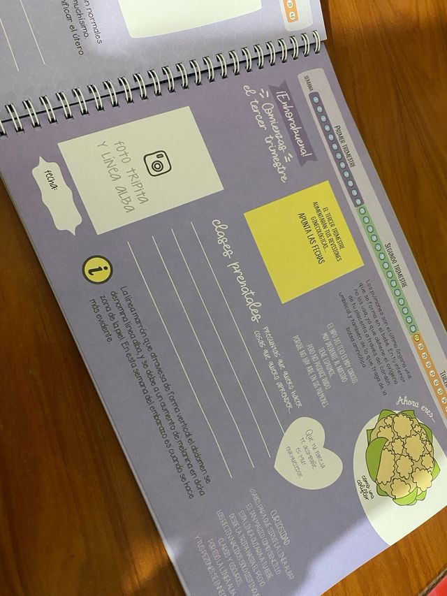 Album recuerdos embarazo