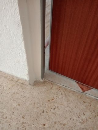 Manitas a Domicilio