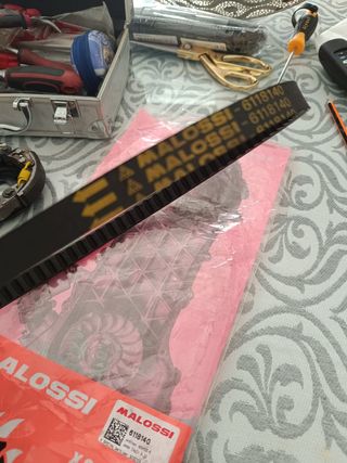 Correa malossi