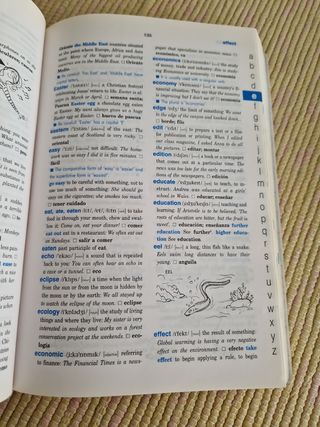 Diccionario escolar inglés español