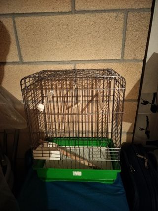 Jaula para agapornis