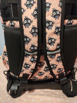 Mochila escolar ruedas