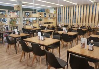 Sillas económicas bar