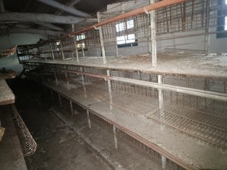 Se vende lote de jaulas para gallinas